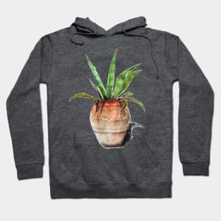 AMERICANA AGAVE in pot Hoodie